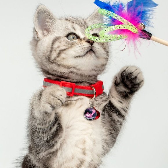 Disney Alice in Wonderland-Pet Tag "Cheshire Cat" Tag accessory for pet collar - Picture 2 of 2